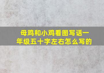 母鸡和小鸡看图写话一年级五十字左右怎么写的