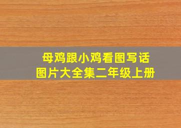 母鸡跟小鸡看图写话图片大全集二年级上册