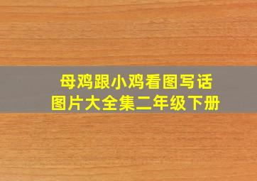 母鸡跟小鸡看图写话图片大全集二年级下册