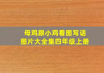 母鸡跟小鸡看图写话图片大全集四年级上册