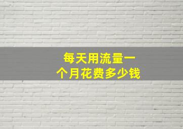 每天用流量一个月花费多少钱