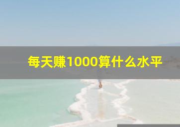 每天赚1000算什么水平