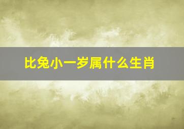 比兔小一岁属什么生肖