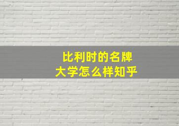 比利时的名牌大学怎么样知乎