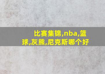 比赛集锦,nba,篮球,灰熊,尼克斯哪个好