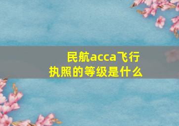 民航acca飞行执照的等级是什么