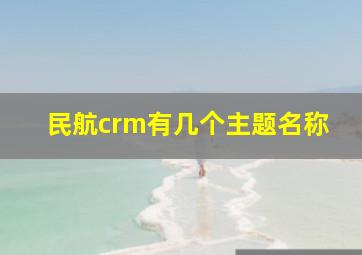 民航crm有几个主题名称