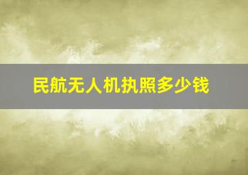 民航无人机执照多少钱