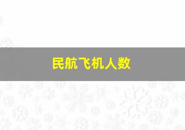 民航飞机人数