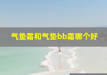 气垫霜和气垫bb霜哪个好