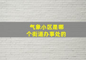 气象小区是哪个街道办事处的