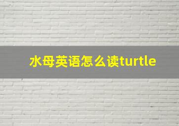 水母英语怎么读turtle