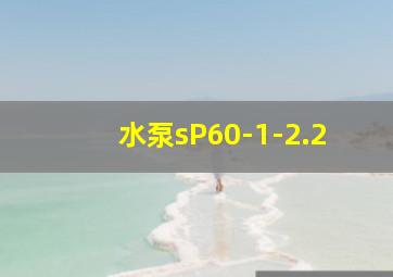 水泵sP60-1-2.2