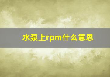 水泵上rpm什么意思