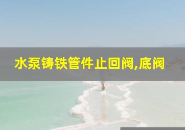 水泵铸铁管件止回阀,底阀