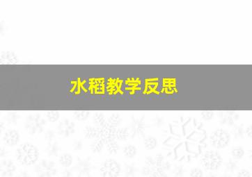 水稻教学反思