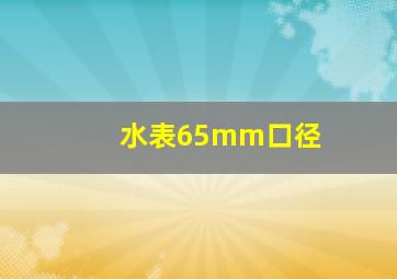 水表65mm口径