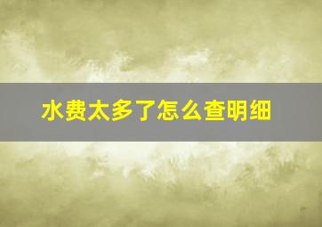 水费太多了怎么查明细