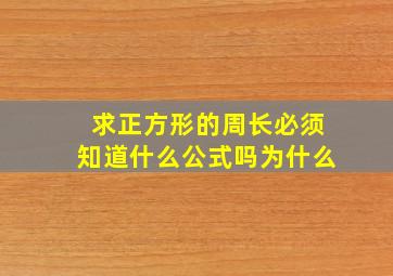 求正方形的周长必须知道什么公式吗为什么