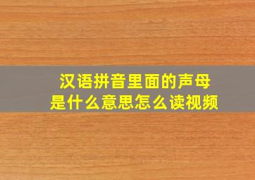 汉语拼音里面的声母是什么意思怎么读视频