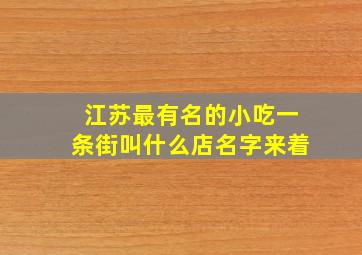 江苏最有名的小吃一条街叫什么店名字来着