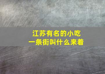 江苏有名的小吃一条街叫什么来着