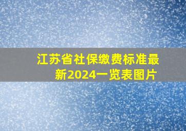 江苏省社保缴费标准最新2024一览表图片