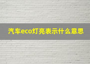 汽车eco灯亮表示什么意思