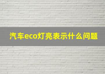 汽车eco灯亮表示什么问题