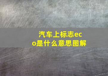 汽车上标志eco是什么意思图解