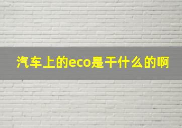 汽车上的eco是干什么的啊