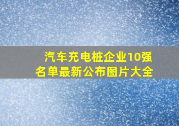 汽车充电桩企业10强名单最新公布图片大全