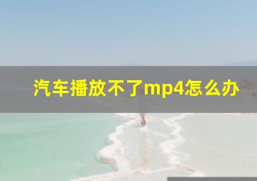 汽车播放不了mp4怎么办