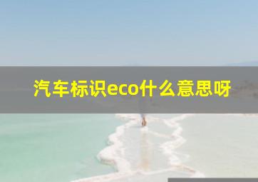 汽车标识eco什么意思呀