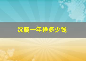 沈腾一年挣多少钱