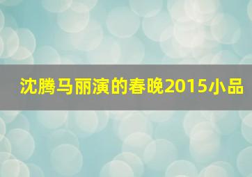 沈腾马丽演的春晚2015小品