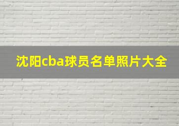 沈阳cba球员名单照片大全