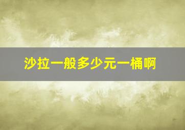 沙拉一般多少元一桶啊