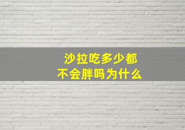 沙拉吃多少都不会胖吗为什么