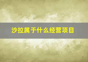 沙拉属于什么经营项目