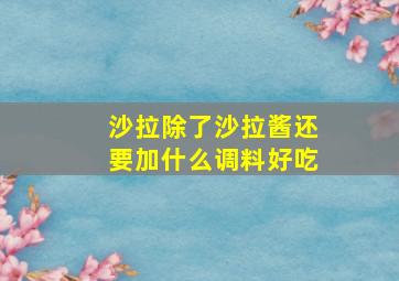 沙拉除了沙拉酱还要加什么调料好吃