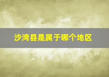 沙湾县是属于哪个地区