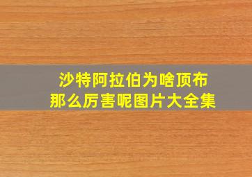 沙特阿拉伯为啥顶布那么厉害呢图片大全集