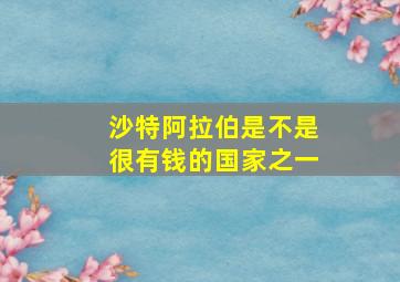 沙特阿拉伯是不是很有钱的国家之一