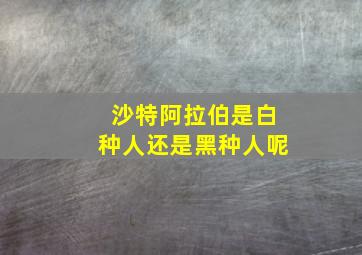 沙特阿拉伯是白种人还是黑种人呢