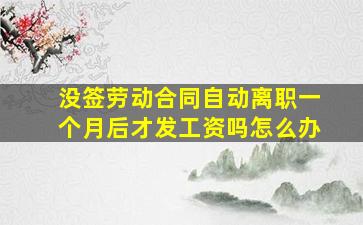 没签劳动合同自动离职一个月后才发工资吗怎么办