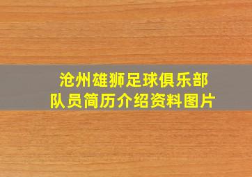 沧州雄狮足球俱乐部队员简历介绍资料图片