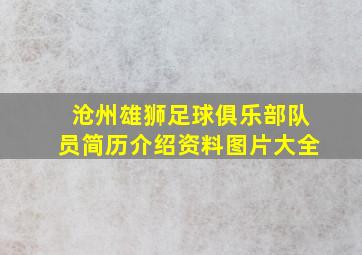 沧州雄狮足球俱乐部队员简历介绍资料图片大全