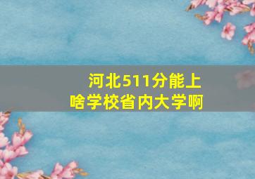 河北511分能上啥学校省内大学啊