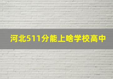 河北511分能上啥学校高中